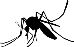 Stechmücken abhalten